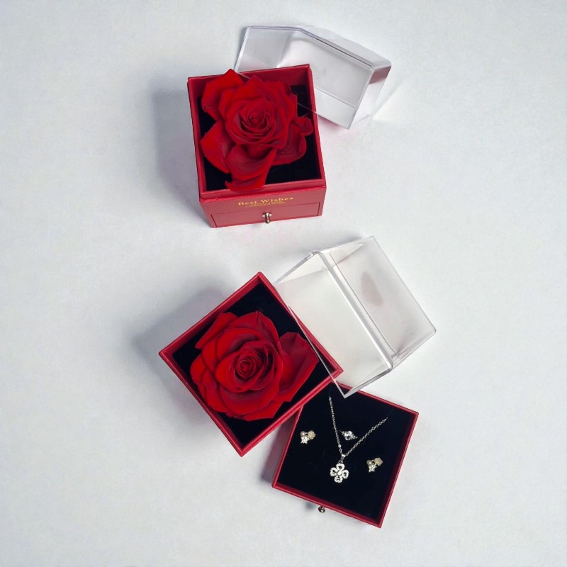 transparent-Photoroom (15)