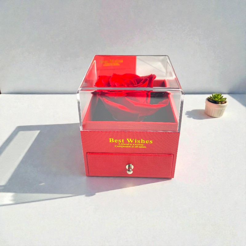 transparent-Photoroom (16)